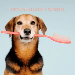 Hund mit Zahnbürste im Mund